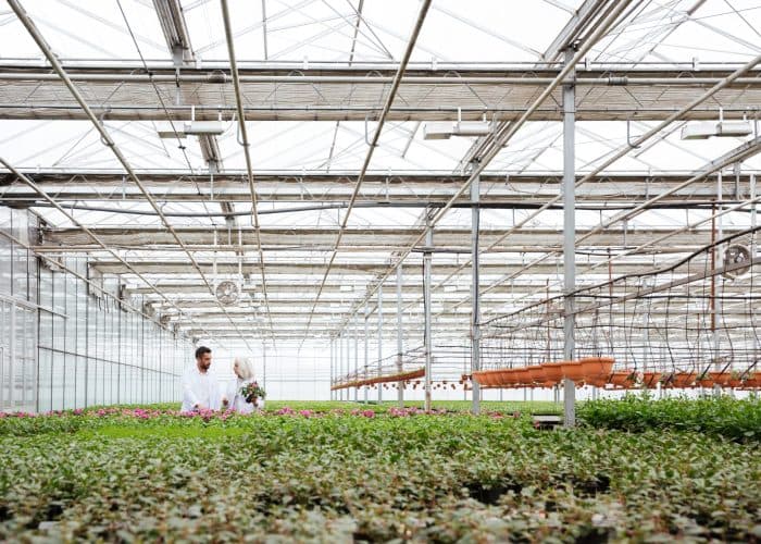 Greenhouses